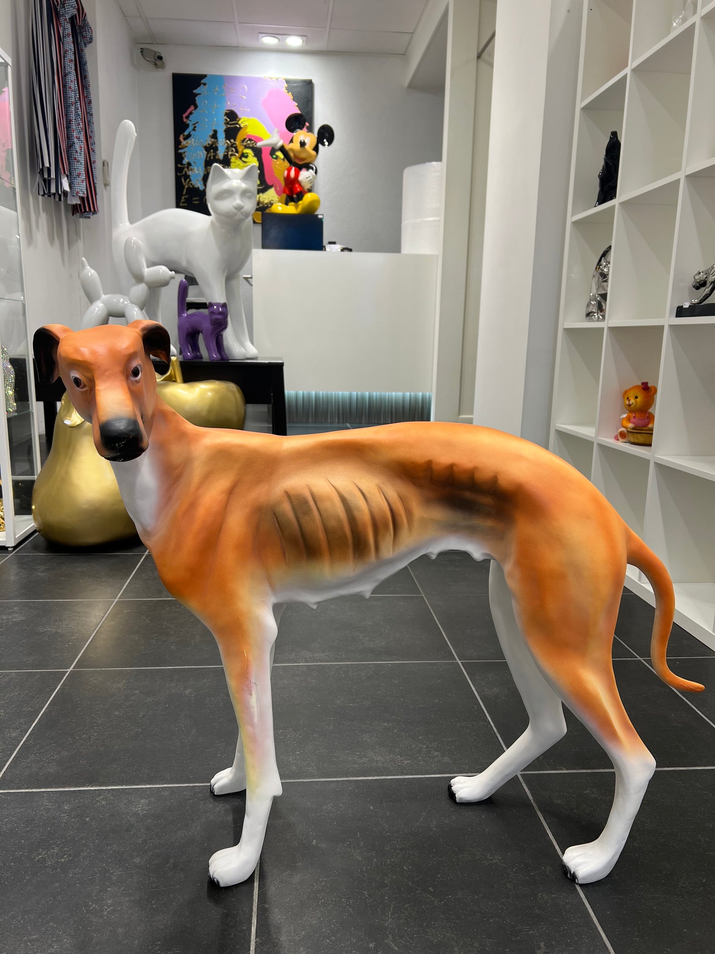 Windhond voor buiten of binnen
