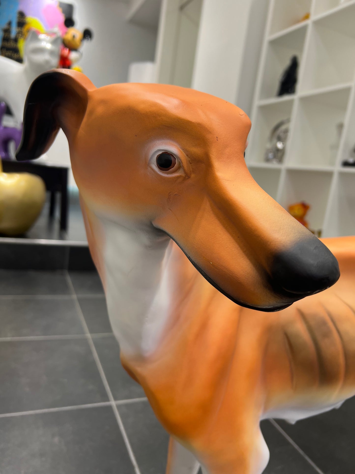 Windhond voor buiten of binnen
