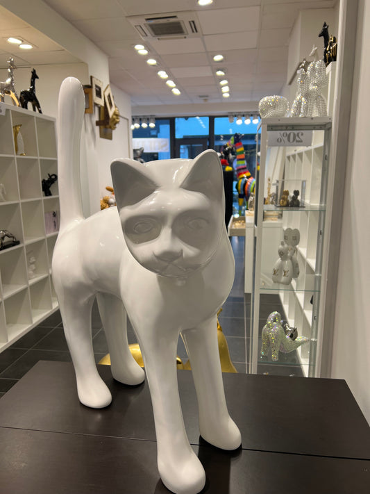Kat Large - Wit