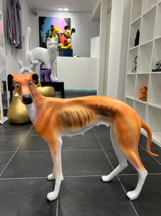 Windhond voor buiten of binnen